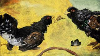 Pastellityö osasta von Wrightin Taistelevat metsot maalausta