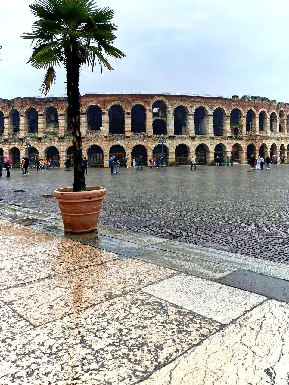 Veronan arena